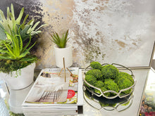 Load image into Gallery viewer, Assorted Sizes (Pack of 12)Artificial Petite Moss Dome Set
