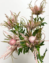 Load image into Gallery viewer, Realistic size,26" Artificial Thistle-3 sprays: Blue
