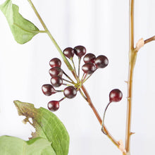 Load image into Gallery viewer, 38" Tall Artificial Wild Berry Branch
