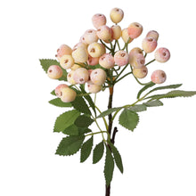 Load image into Gallery viewer, Designer’s Pick – 14” High-End Berry Picks: Frosty White Pink
