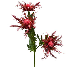 Load image into Gallery viewer, Realistic size,26" Artificial Thistle-3 sprays: Blue
