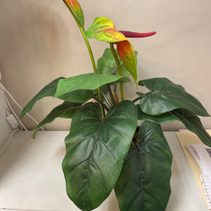 21" Faux Anthurium Plant