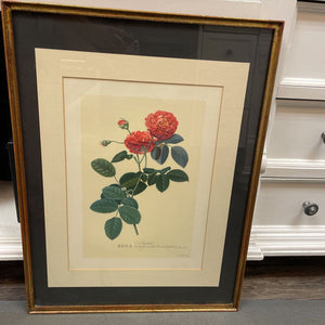 25" Vintage Rose Artwork