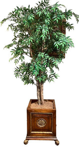 7'H Ethan Allen Ruscus Tree in Maitland Smith Wood Container