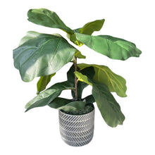 Load image into Gallery viewer, 25&quot;Faux Fiddleleaf Fig in Silver Pot
