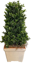 Load image into Gallery viewer, 16&quot;H Potted Faux Cone Boxwood
