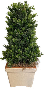 16"H Potted Faux Cone Boxwood