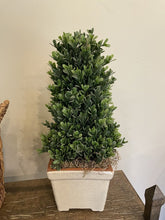 Load image into Gallery viewer, 16&quot;H Potted Faux Cone Boxwood
