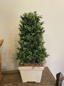 16"H Potted Faux Cone Boxwood