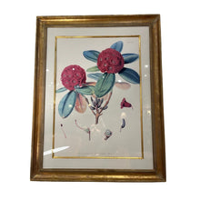 Load image into Gallery viewer, 26.75&quot; x 34.25&quot; Rhododendron Botanical Print w/ Custom Gilt Frame
