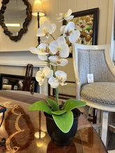 Load image into Gallery viewer, 20&quot; White Potted Orchid
