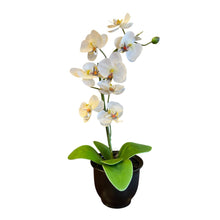 Load image into Gallery viewer, 20&quot; White Potted Orchid
