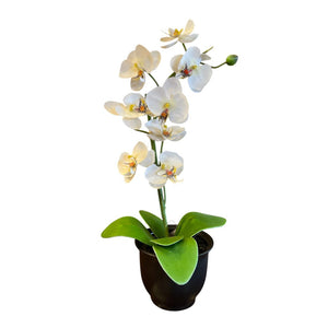 20" White Potted Orchid