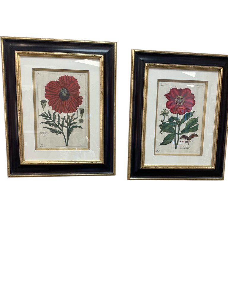 Pair- 24
