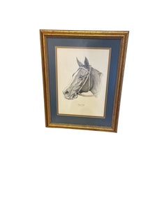 16" x 19.5" America Thorughbred Racehorse Portrait"Genuine Risk"