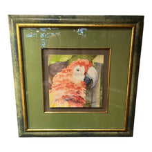 Load image into Gallery viewer, 19.5&quot;Sq &quot;Parrot&quot; Watercolor Painting signed w/ Custom Frame

