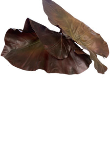 25" Elephant Ear Planter
