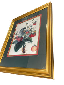23" x 19" Botanical Paradise Strawberry Seedling Art in Gold Frame