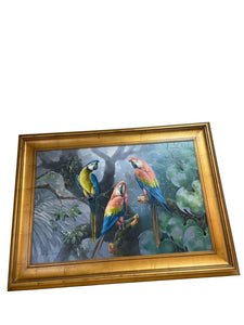 45" x 33" Parrot Painting/ Gold Frame by Andre Lange