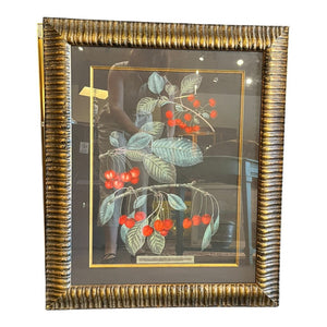 29" x 24" "Cherries" by George Brookshaw
