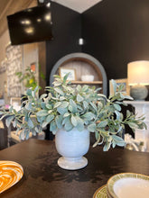 Load image into Gallery viewer, 24" Faux Lambs Ear in White Vase
