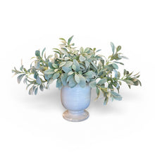 Load image into Gallery viewer, 24" Faux Lambs Ear in White Vase
