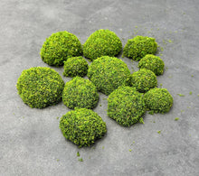 Load image into Gallery viewer, Assorted Sizes (Pack of 12)Artificial Petite Moss Dome Set
