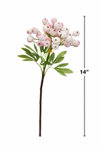 Load image into Gallery viewer, Designer’s Pick – 14” High-End Berry Picks: Peach Champagne
