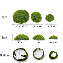 Load image into Gallery viewer, Assorted Sizes (Pack of 12)Artificial Petite Moss Dome Set
