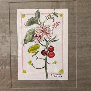 23.25" x 25.25" Botanical Illustration by B.Barber